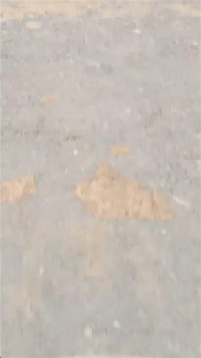 tranding reel new vidioes please sopot reel plese