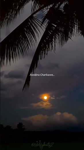 Api Pawena Loke🥰❤️(Handa allanna Asa gamana) #lyrics #slowedandreverb #shorts #sinhalasong #nature