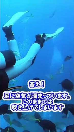 ダイビングトラブル 潜む危険が分かりますか?! （DivingTruble）#shorts