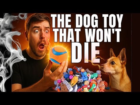 The Chuckit Ball Is Basically Immortal. Here’s Why.