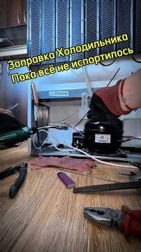 The refrigerator does not freeze.