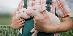 脅威の動向：Snort IPS - Cisco Japan Blog