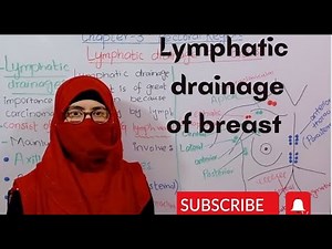 Lymphatic drainage of breast | lymph nodes| lymph vessels | pectoral region anatomy | bd churasia