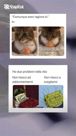 #memes #divertente #italia #humor #lavoro #memeita #salvini #bicicleta #auto #mama #papa #bambini
