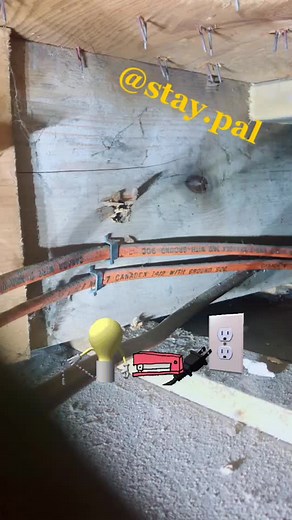 Staypal Electrical Staple Setter #staypal #electrican #electrical #wiring #tools #renovation #doityourself #sparky #foryou #fyp #renovation #building