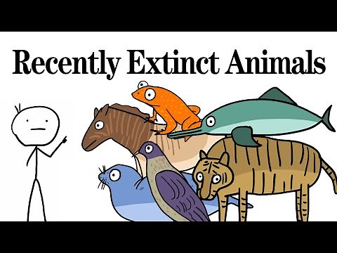 Recently Extinct Animals You Don’t Know