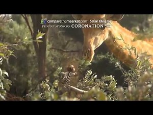 Compare the Meerkat - Coronation Street Advert 117