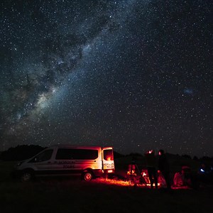 Horizon Tours | Dunedin NZ