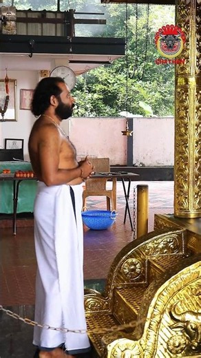 Swami Darshan for All Prosperity #vishnumaya #devamaya #faith