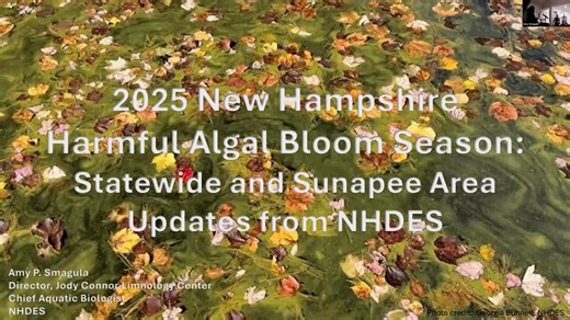 2025 NH Harmful Algal Bloom Season: Statewide and Sunapee Area Updates from NHDES
