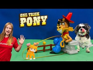 Assistant Plays One Trick Pony with Wiggles and Waggles