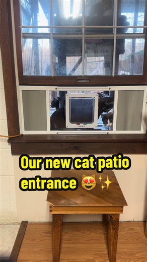 Cat Door Window Insert: Perfect for Your Cat Patio