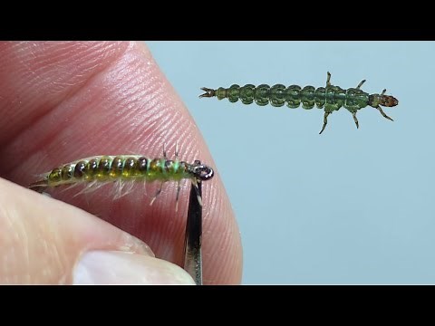 Deadly Trout Fly? Free Living Caddis Larva Tying Tutorial