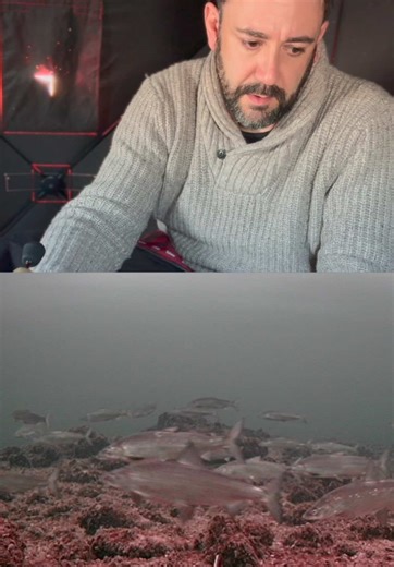 Expert Ice Fishing Techniques with Underwater Cameras