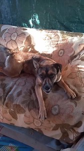 2.9K views · 123 reactions | Spesso pubblichiamo Video di Ari , del...