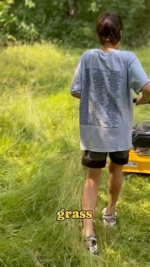 Can This Budget-Friendly Brush Cutter Handle It