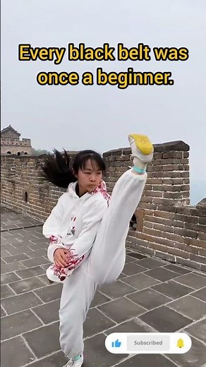 Shaolin Kung Fu Horse Stance (Ma Bu) Training 🔥 | Powerful Punch Techniques #shorts