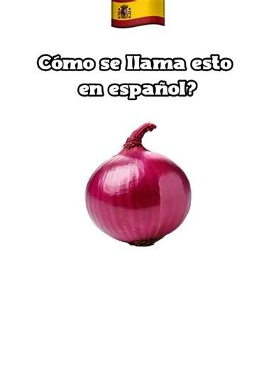 Spanish Vocabulary Test for Beginners and Beyond