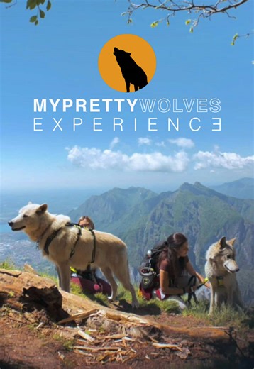 myprettywolves su TikTok