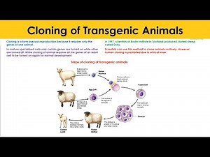 Cloning of Transgenic Animals | Biotechnology