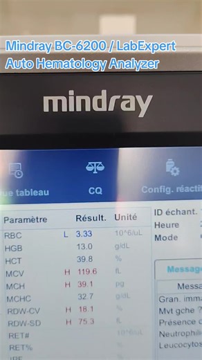 The Technical Consultant sur TikTok