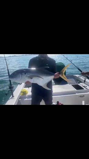 Puerto Vallarta fishing with Captain Scooby #pvsportfishing | PV Sportfishing