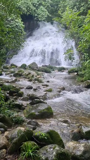 Breathtaking Natural Waterfall Surrounded by Lush Greenery