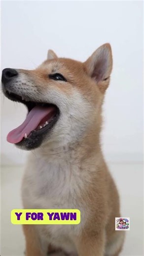 Y Words Song for Kids | Learn Letter Y | Alphabet Song for Toddlers & Preschoolers