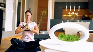 10K views · 233 reactions | Grasslamp - Modern Desktop Garden | Technology Innovation | Facebook