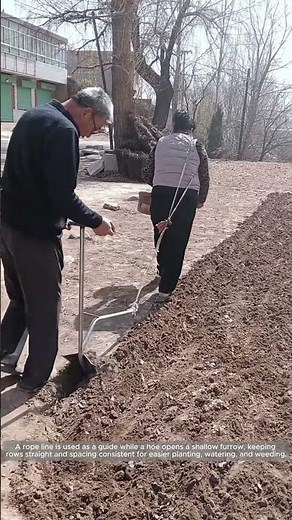 String-Line Row Making: Straight Furrows for Even Planting