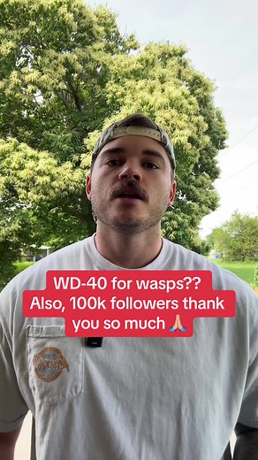 Get Rid of Wasps with WD-40!