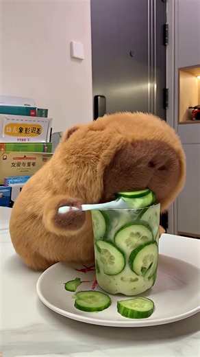 Capybara taste test highlight #capybara #cute #funny