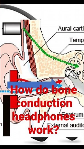 How do bone conduction headphones work?