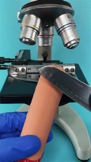 Exploring Skin Microscopy Techniques in Detail