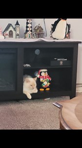 Crystal Baker on Reels