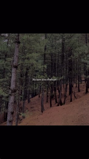 M on Instagram: "Koi aur dooja kyu mujai❤️‍🩹 Na terai siva chahiye . . . . . . . . . . . . . . . . . . . . . . . . . Keywords (nature, aesthetics, nature photography, videography, Kashmir, mountains, water, rivers, nature ) #nature #naturephotography #spring #song #kashmir"