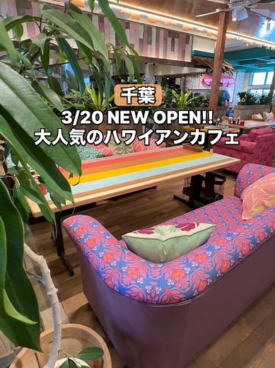 【コナズ珈琲 柏十余二店】 📍千葉県・柏市 2026年3月20日オープン！ “一番近いハワイ”がテーマの人気なカフェで、日本にいながらハワイの休日気分を味わえます♪ 今回の柏店が千葉県で5店舗目となる。 クリーム爆盛りのパンケーキをはじめ、ハンバーガーやガーリックシュリンプなどハワイらしいメニューが盛り沢山！ ハワイの希少なコナコーヒーも提供しているので、コーヒーガチ勢でも満足出来ます！ そして外のテラス席はペットの同伴が可能でした。 ～頼んだ品～ ・コナズダブルチーズバーガー 1,890円 ・パティ&チーズ追加 580円 ・KONA農園パンケーキ 1,590円 ・アヒポキライスボール 1,490円 ・ガーリックシュリンプ&フレンチフライ 1,090円 店名：コナズ珈琲 柏十余二店 📍千葉県柏市十余二249-60 🚃柏駅から車で10分 ⏰10:00～22:00 土日祝9:00～22:00 🗓️無休 🚙駐車場あり(181台) 💳キャッシュレス対応 ------------------ ※情報は撮影時のものになりますので、現在は変わっている可能性もございます。その点はご了承くだ