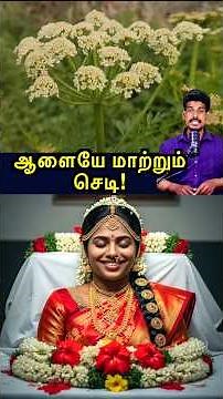 ஆளையே மாற்றும் செடி... | Hemlock Water #tamilguru #tamilinformation #naveenbharathi