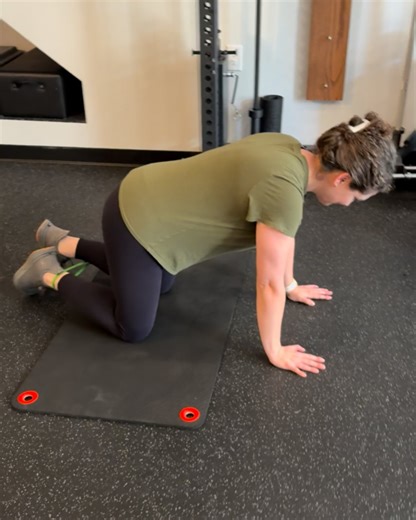 Quadruped Band Resisted Hip Internal Rotation