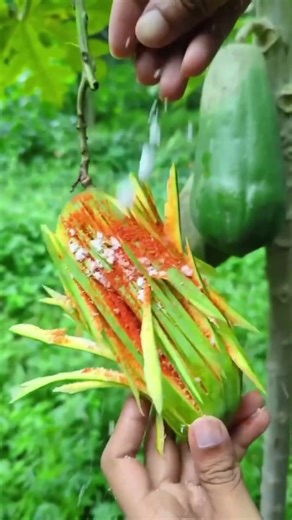 Expectation vs. Reality: Fruit Art Gone Wrong! 😂Comedy #Funny #ExpectationVsReality #JBN078 #Vlog