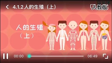 七年级下册 生物 人的生殖