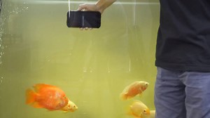 1.7K views · 31 reactions | Tested to military standard, the BV9500...