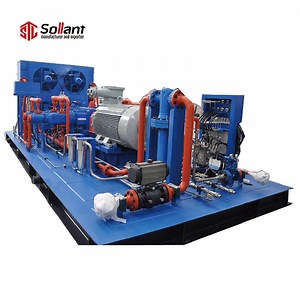 [Hot Item] Customizable Circulating Gas 3 Piston Air CNG Refueling Station 200bar Recyle Nitrogen Compressor