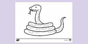 Corn Snake Colouring Sheet