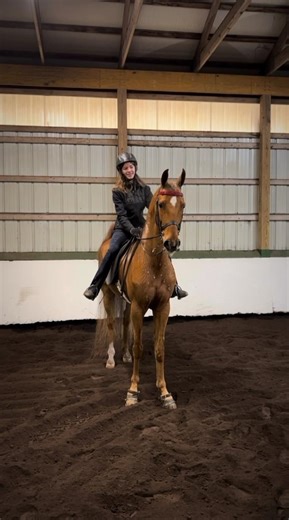 Edit of ‪@Asb_Miller‬ and her new horse!