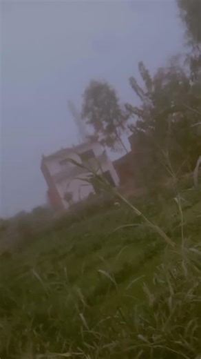 Alia Cartoon on Instagram