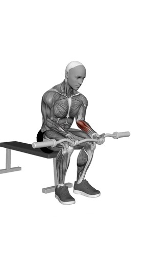 EZ Bar Seated Wrist Curl.mp4