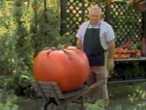 ABC TV Commercials - May 2nd, 1992 - Part One