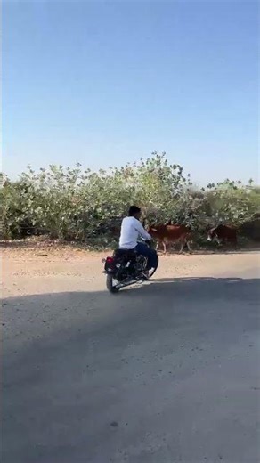 bullat stutus #bulletlover #shorts #anil_bhadu