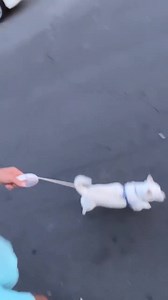 #ChristianMeier 🐾 #LucaMeier 🐶 30 julio 2023 | Christian Meier Fans